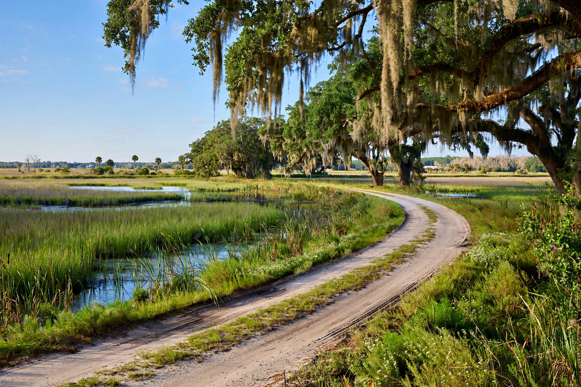 Fellsmere Florida rural landscape - plumber serving Fellsmere FL